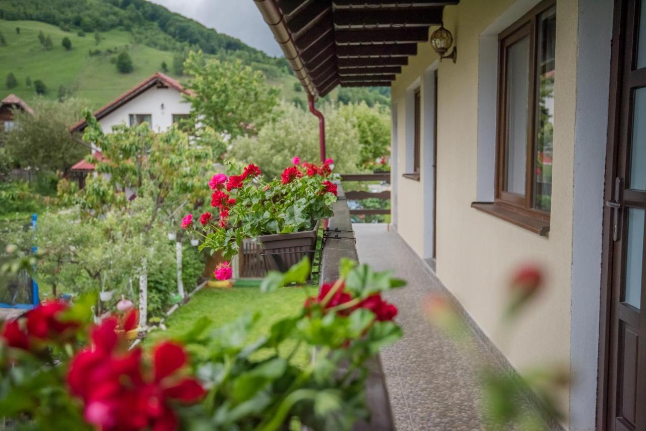 Vila Chic M Hotell Moieciu de Jos Exteriör bild